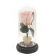 Παντοτινό Τριαντάφυλλο Απαλό Ροζ σε γυάλινη καμπάνα, με την δική σας Αφιέρωση,18cm x 8.5cm