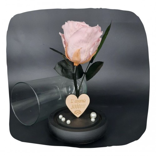 Παντοτινό Τριαντάφυλλο Απαλό Ροζ σε γυάλινη καμπάνα, με την δική σας Αφιέρωση,18cm x 8.5cm