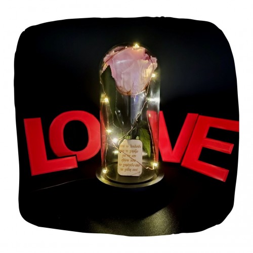 Παντοτινό Τριαντάφυλλο Απαλό Ροζ σε γυάλινη καμπάνα, με φωτισμό Leds Λευκό Θερμό και την δική σας Αφιέρωση,18,5cm x 8.5cm