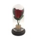 Παντοτινό Τριαντάφυλλο Κόκκινο σε γυάλινη καμπάνα, με την δική σας Αφιέρωση,18cm x 8.5cm