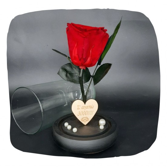 Παντοτινό Τριαντάφυλλο Κόκκινο σε γυάλινη καμπάνα, με την δική σας Αφιέρωση,18cm x 8.5cm
