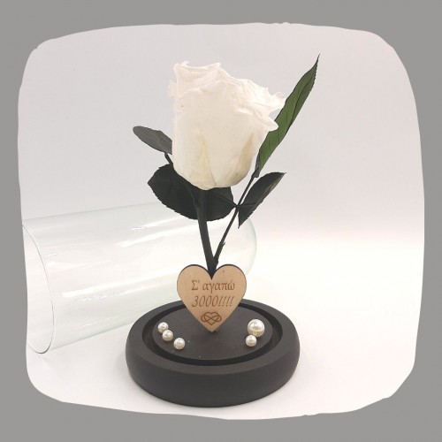 Παντοτινό Τριαντάφυλλο Λευκό σε γυάλινη καμπάνα, με την δική σας Αφιέρωση,18cm x 8.5cm
