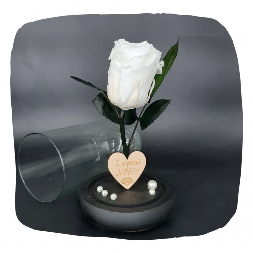 Παντοτινό Τριαντάφυλλο Λευκό σε γυάλινη καμπάνα, με την δική σας Αφιέρωση,18cm x 8.5cm