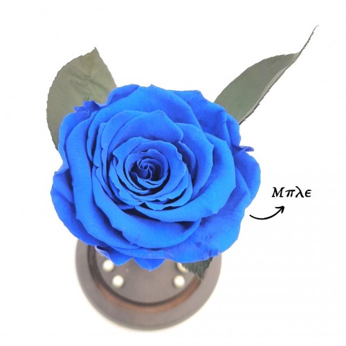 Παντοτινό Τριαντάφυλλο Μπλε σε γυάλινη καμπάνα, με φωτισμό Leds Λευκό Θερμό και την δική σας Αφιέρωση,18,5cm x 8.5cm