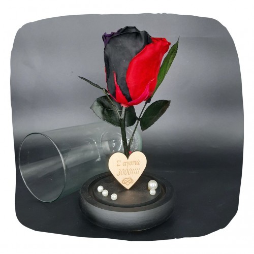 Παντοτινό Τριαντάφυλλο Tricolore σε γυάλινη καμπάνα, με την δική σας Αφιέρωση,18cm x 8.5cm