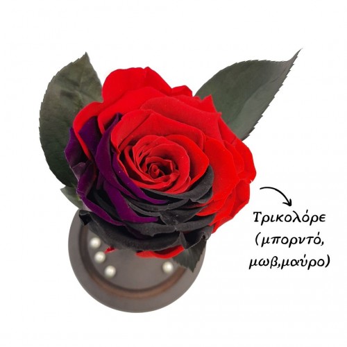 Παντοτινό Τριαντάφυλλο Tricolore σε γυάλινη καμπάνα, με φωτισμό Leds Λευκό Θερμό και την δική σας Αφιέρωση,18,5cm x 8.5cm