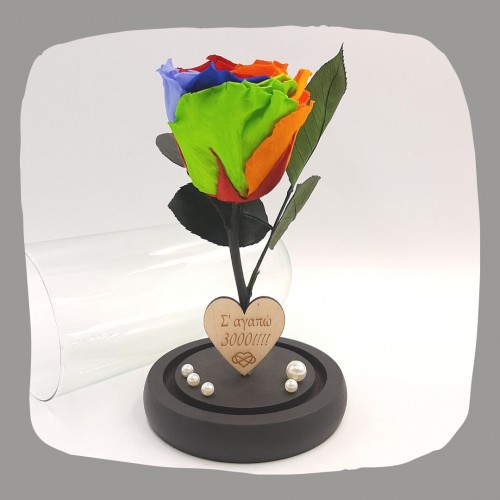 Παντοτινό Τριαντάφυλλο Πολύχρωμο σε γυάλινη καμπάνα, με την δική σας Αφιέρωση,18cm x 8.5cm