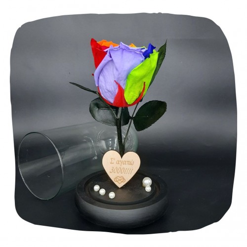 Παντοτινό Τριαντάφυλλο Πολύχρωμο σε γυάλινη καμπάνα, με την δική σας Αφιέρωση,18cm x 8.5cm