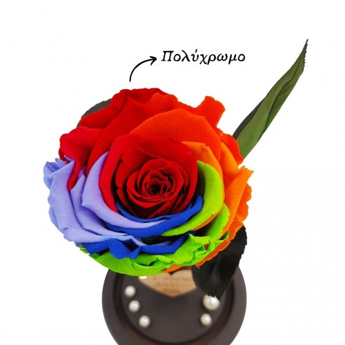 Παντοτινό Τριαντάφυλλο Πολύχρωμο σε γυάλινη καμπάνα, με φωτισμό Leds Λευκό Θερμό και την δική σας Αφιέρωση,18,5cm x 8.5cm