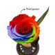 Παντοτινό Τριαντάφυλλο Πολύχρωμο σε γυάλινη καμπάνα, με φωτισμό Leds Λευκό Θερμό και την δική σας Αφιέρωση,18,5cm x 8.5cm