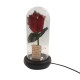 Παντοτινό Τριαντάφυλλο Κόκκινο σε γυάλινη καμπάνα, με φωτισμό Leds Λευκό Θερμό και την δική σας Αφιέρωση,18,5cm x 8.5cm