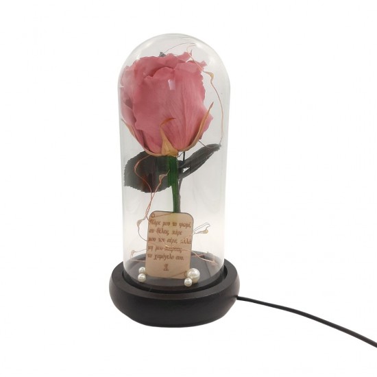 Παντοτινό Τριαντάφυλλο Σάπιο Μήλο σε γυάλινη καμπάνα, με φωτισμό Leds Λευκό Θερμό και την δική σας Αφιέρωση,18,5cm x 8.5cm