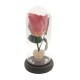 Παντοτινό Τριαντάφυλλο Σάπιο Μήλο σε γυάλινη καμπάνα, με την δική σας Αφιέρωση,18cm x 8.5cm