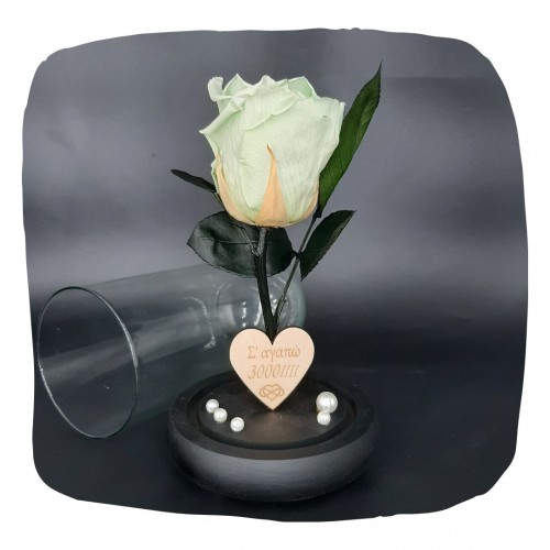Παντοτινό Τριαντάφυλλο Βεραμάν σε γυάλινη καμπάνα, με την δική σας Αφιέρωση,18cm x 8.5cm